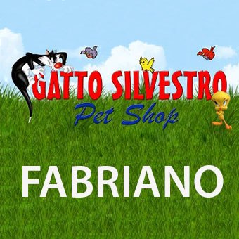 VETRINA GATTO SILVESTRO PET SHOP FABRIANO